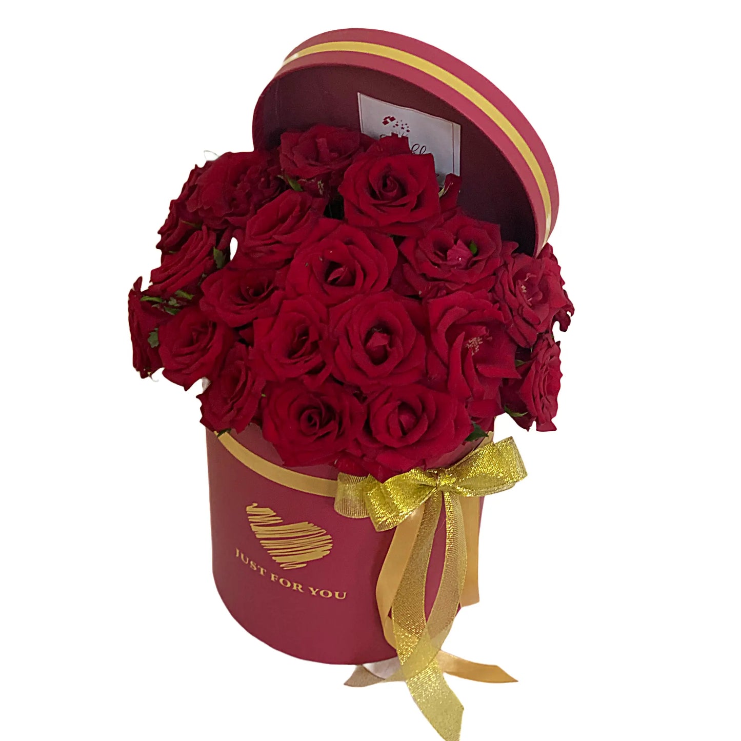 Rose Bloom