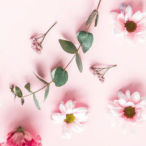 Floral Bliss